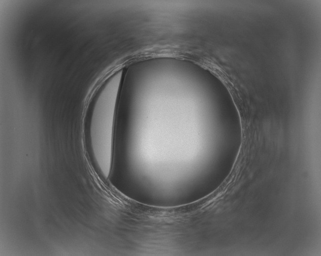 X0000072930293200607210939