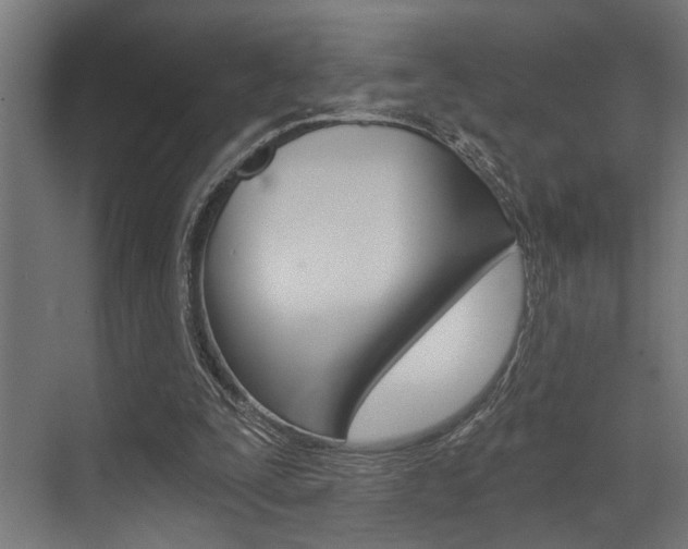 X0000072930295200607210939