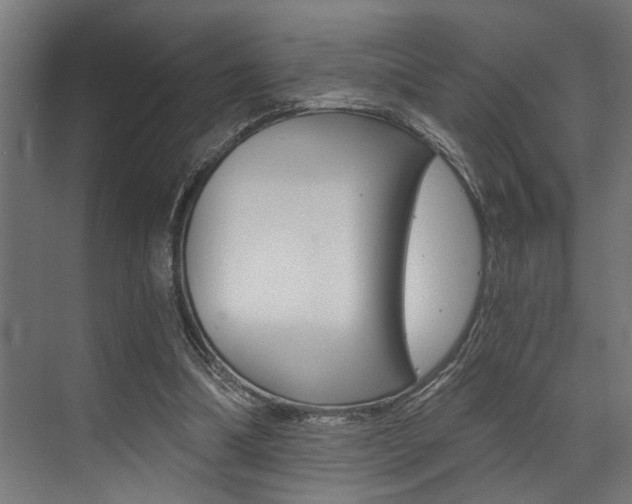 X0000072930298200607210939
