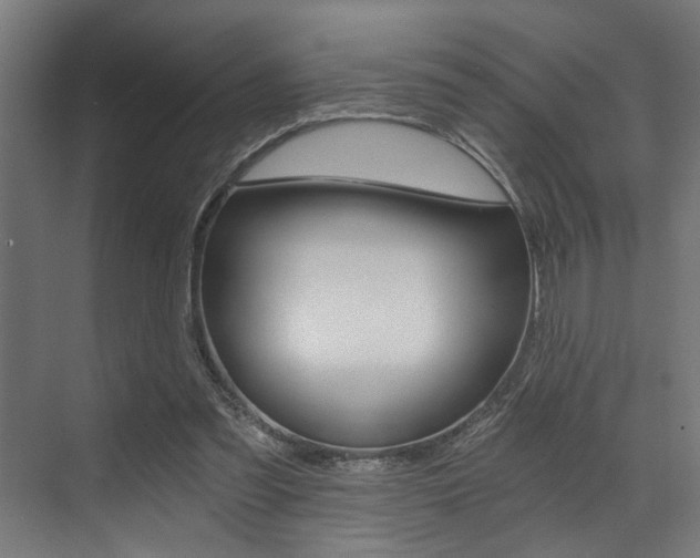 X0000072930301200607210939