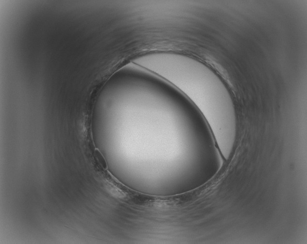 X0000072930305200607210939
