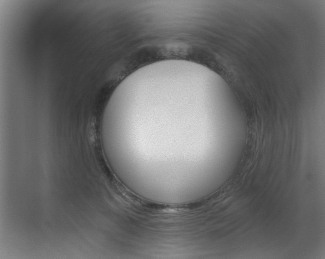 X0000072930323200607210938