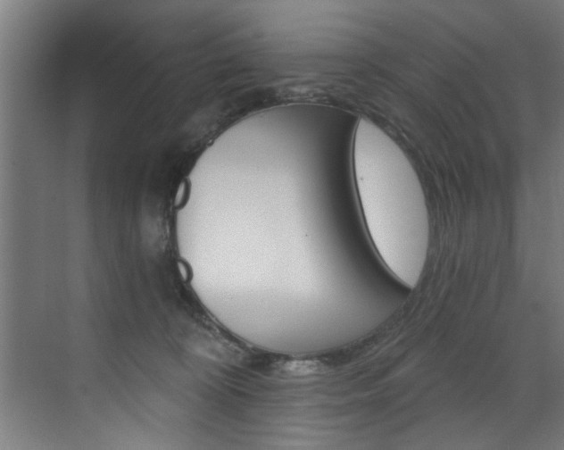 X0000072930324200607210938