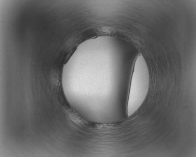 X0000072930331200607210938