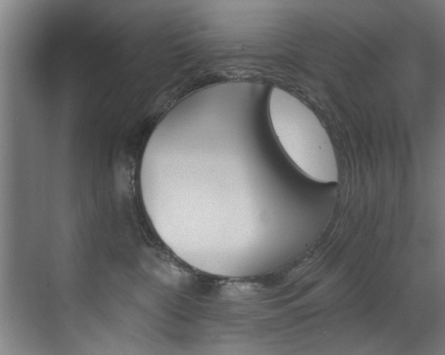 X0000072930332200607210938
