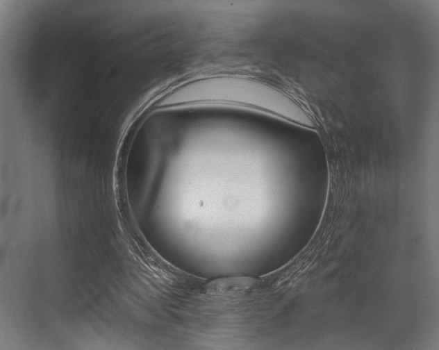 X0000072930340200607210937
