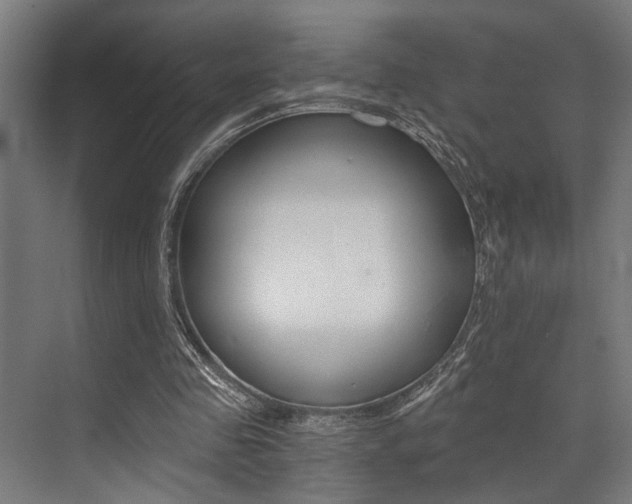 X0000072930341200607210937