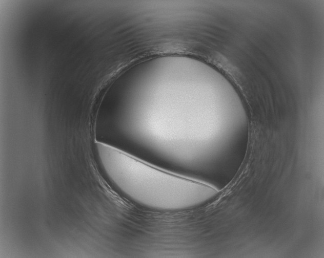 X0000072930345200607210938
