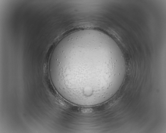 X0000072930355200607210938