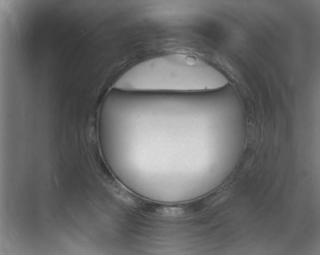 X0000072930361200607210938