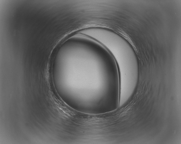 X0000072930387200607210937