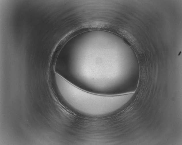 X0000072930392200607210937