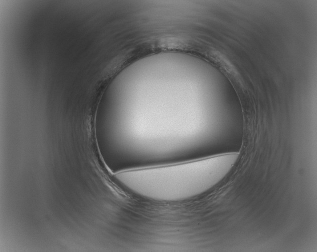 X0000072930401200607210937