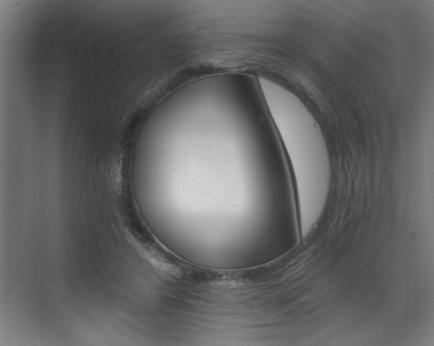 X0000072930404200607210937