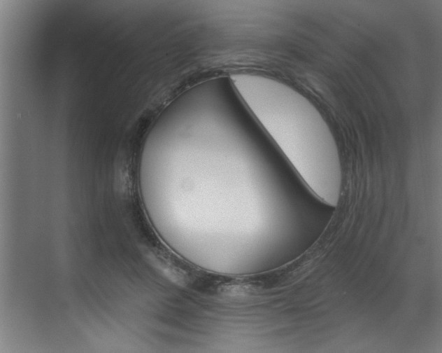 X0000072930408200607210937