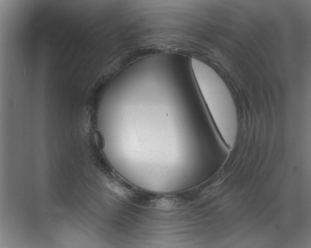 X0000072930412200607210937
