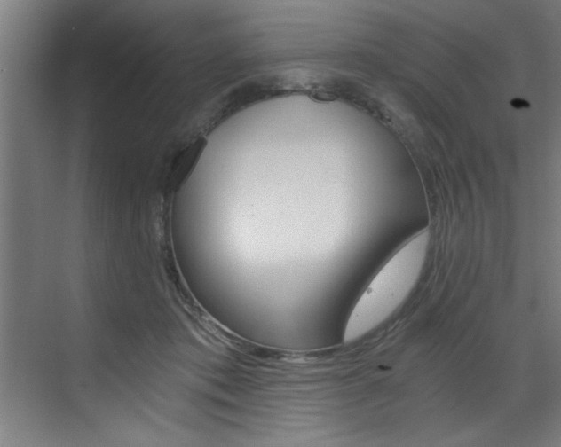 X0000072930413200607210937