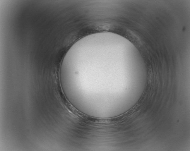 X0000072930414200607210937