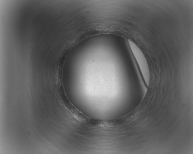 X0000072930416200607210937