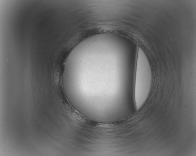 X0000072930417200607210937