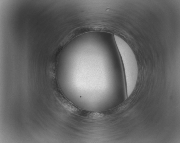X0000072930421200607210937