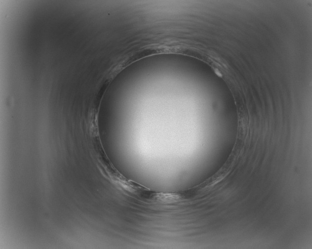 X0000072930429200607210937