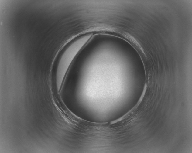 X0000072930436200607210936