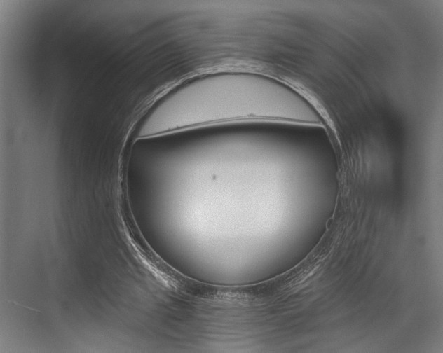 X0000072930437200607210936