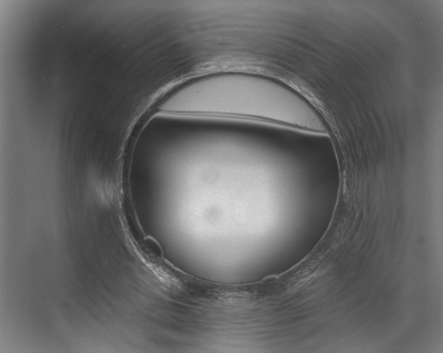 X0000072930438200607210936