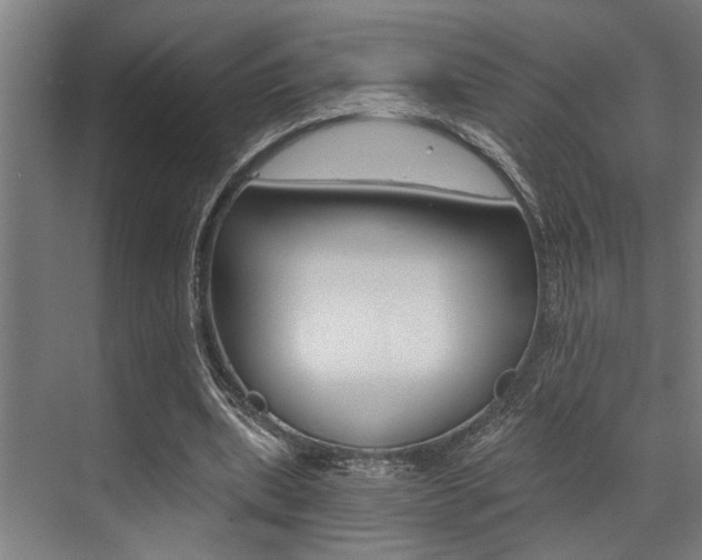 X0000072930439200607210936