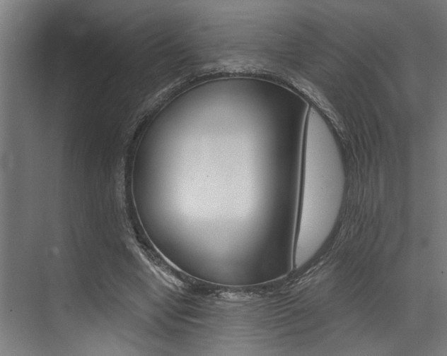 X0000072930442200607210936