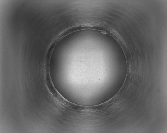 X0000072930444200607210936