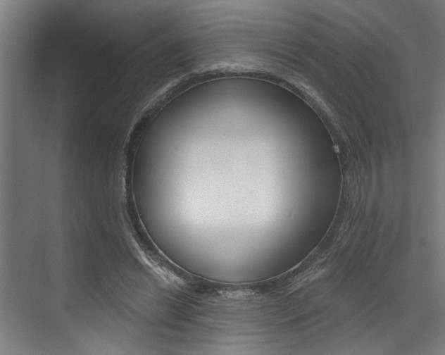 X0000072930446200607210936