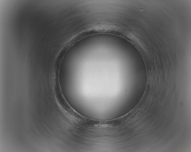 X0000072930448200607210936