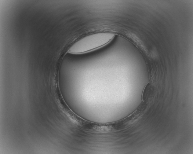 X0000072930449200607210936