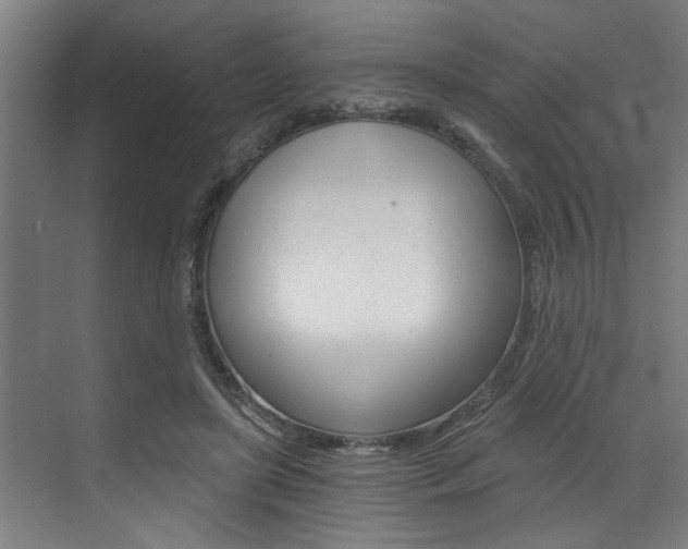 X0000072930451200607210936