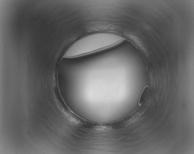 X0000072930453200607210936