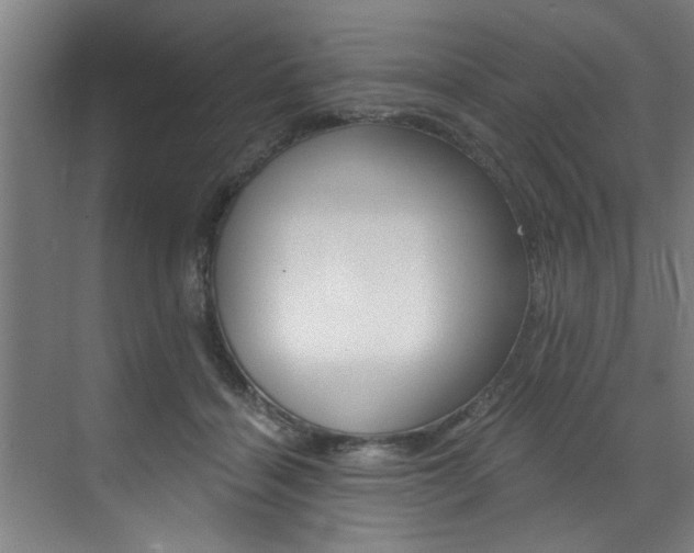 X0000072930460200607210936