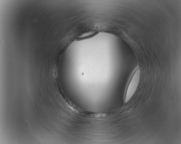 X0000072930474200607210936