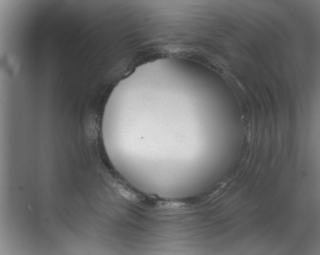 X0000072930476200607210937