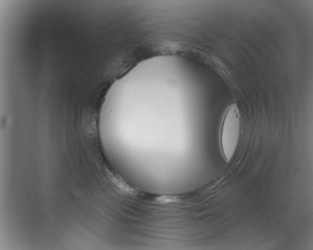 X0000072930477200607210937