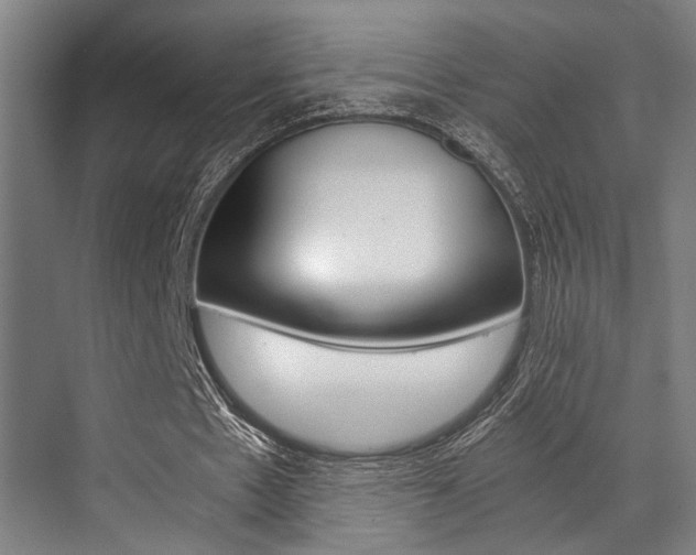 X0000072930481200607210936