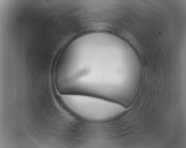 X0000072930482200607210936