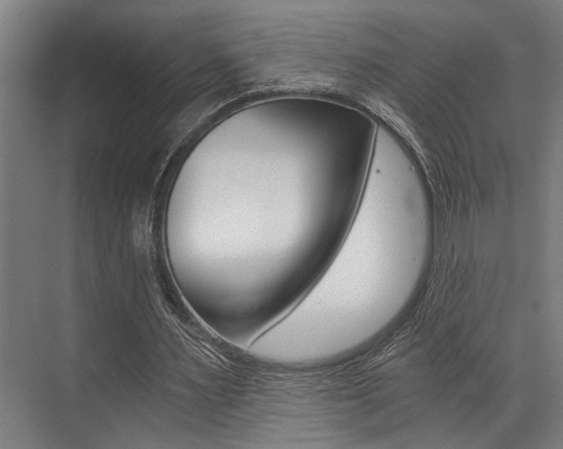 X0000072930483200607210936