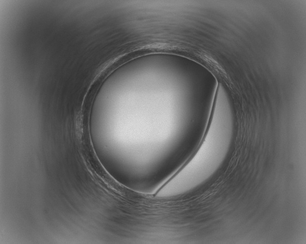 X0000072930484200607210936