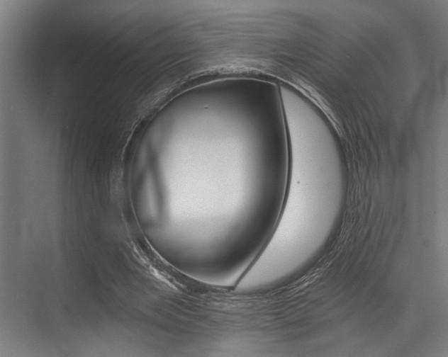 X0000072930485200607210936