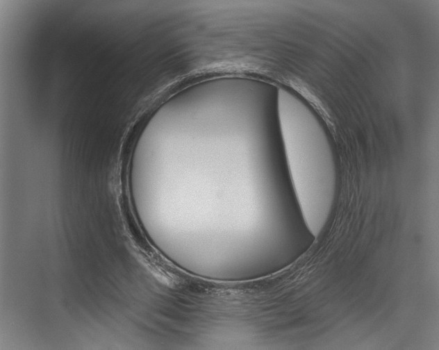 X0000072930486200607210936