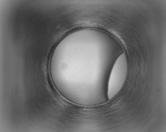 X0000072930487200607210936