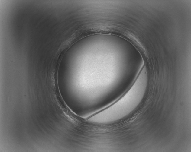 X0000072930489200607210936