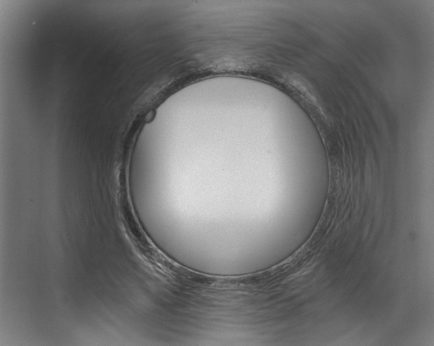 X0000072930491200607210936
